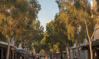 Pedestrians and leafy streets in central Perth during late afternoon